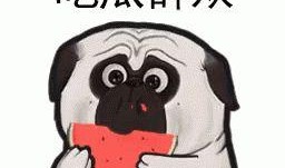 搞笑娱乐吃瓜君是谁啊,网络红人的崛起之路